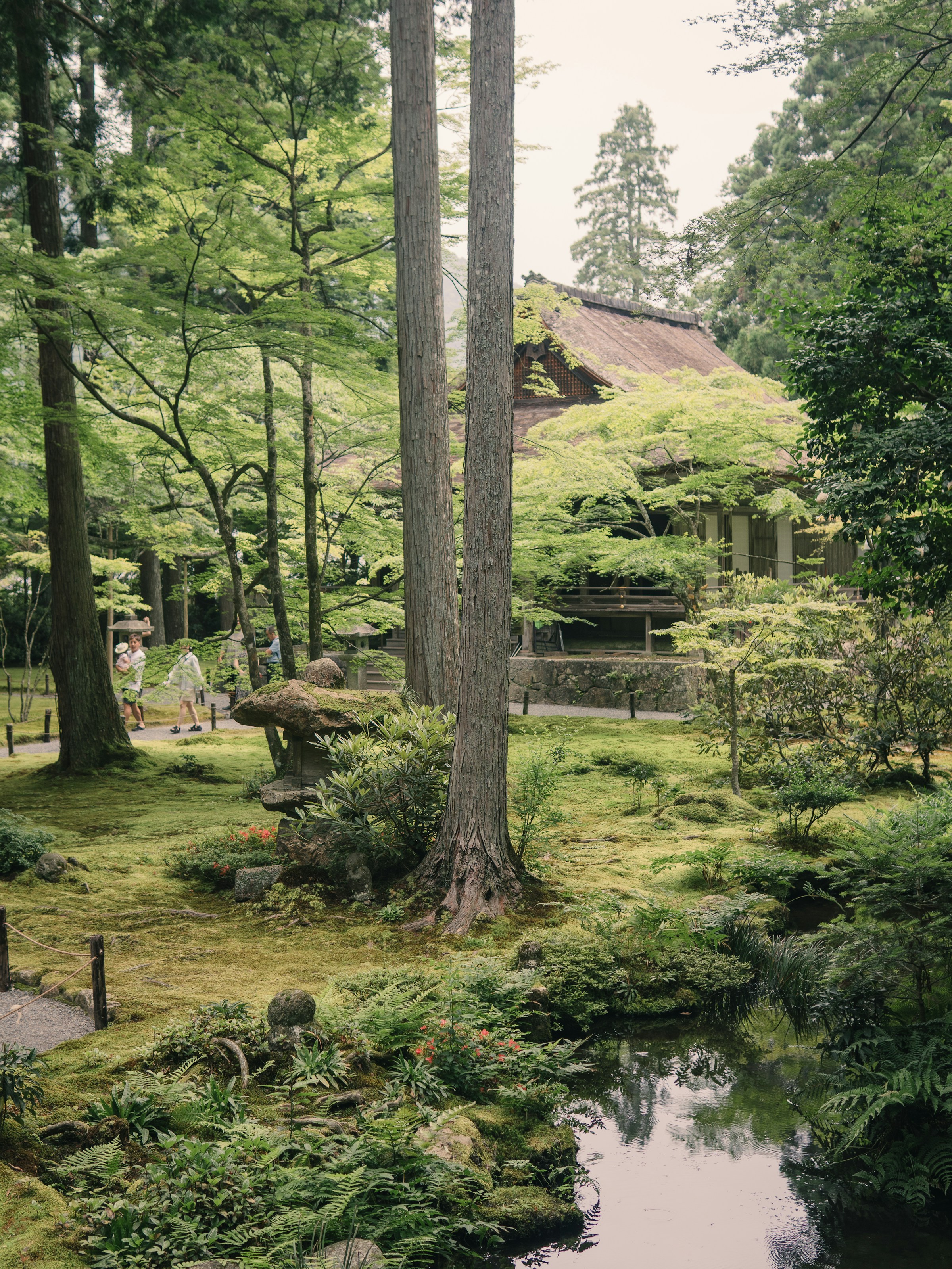 静かな寺院と庭園のイメージ