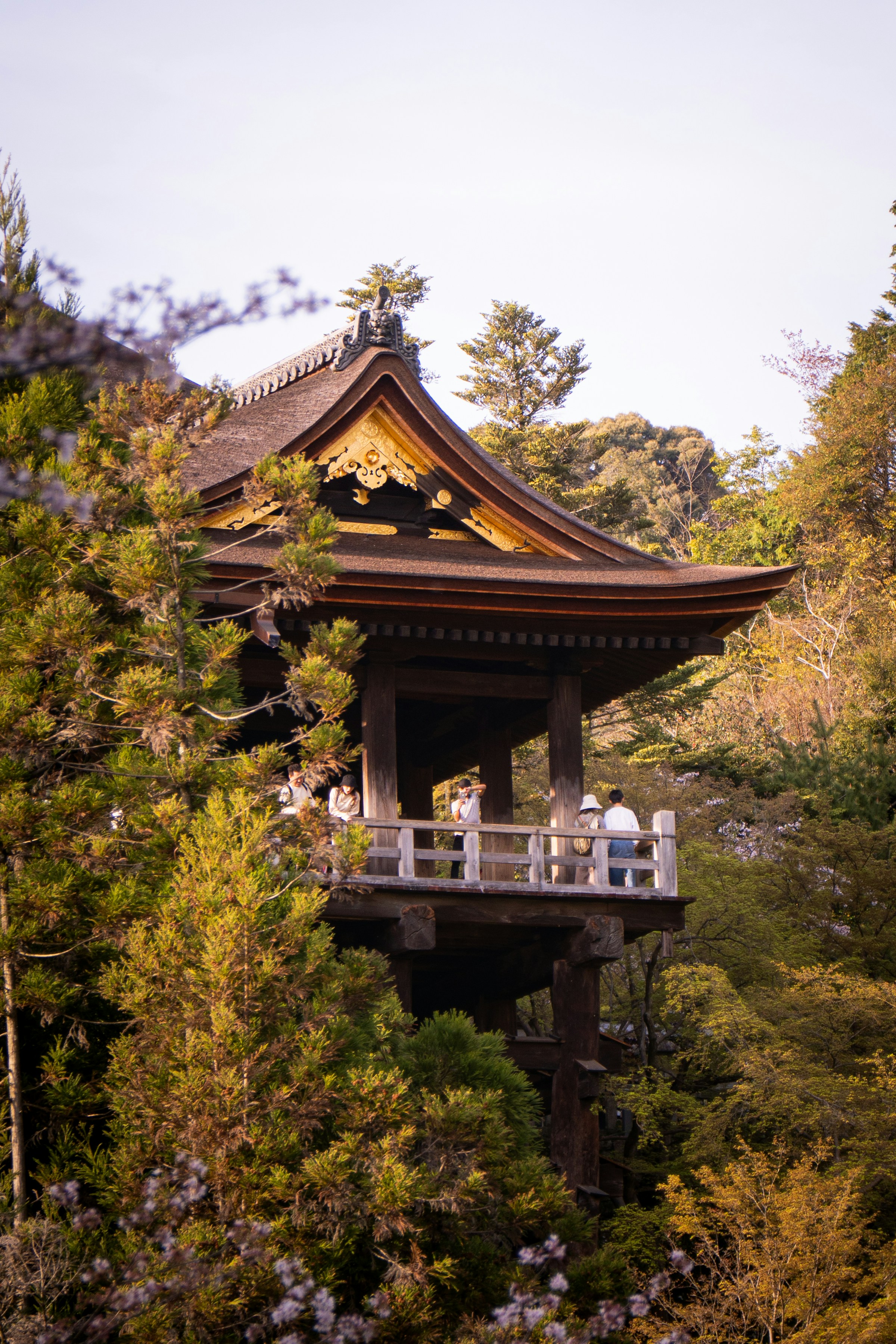 静かな寺院と庭園のイメージ